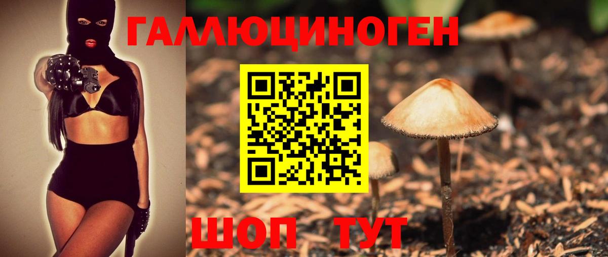 Галлюциногенные грибы Cubensis Электрогорск